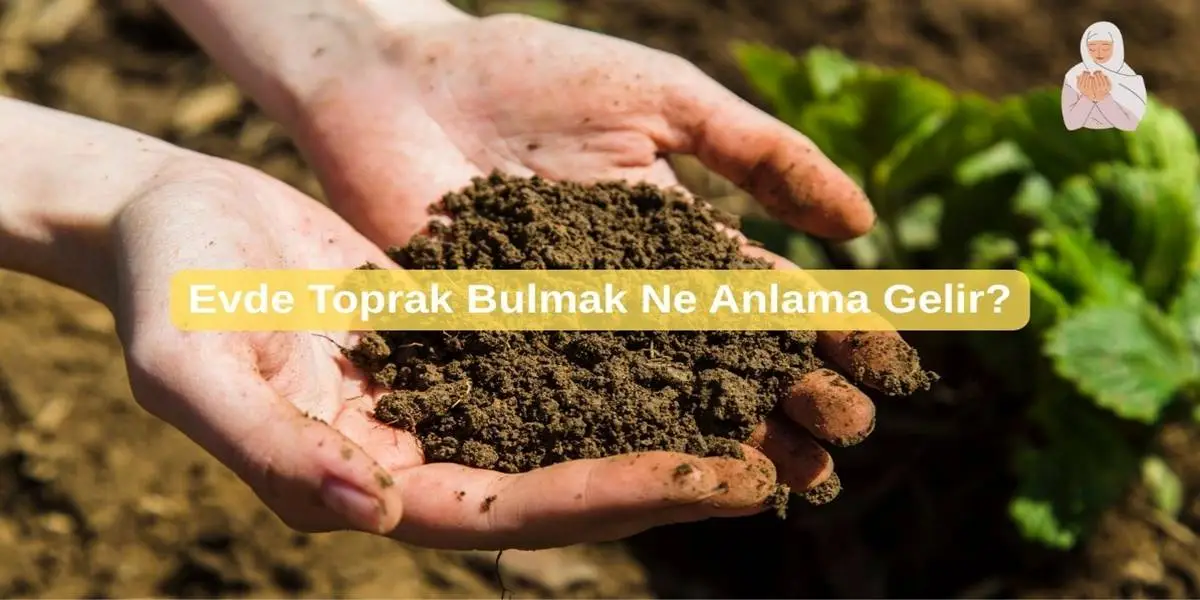 Evde Toprak Bulmak Ne Anlama Gelir?